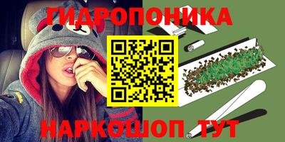 метадон Сланцы