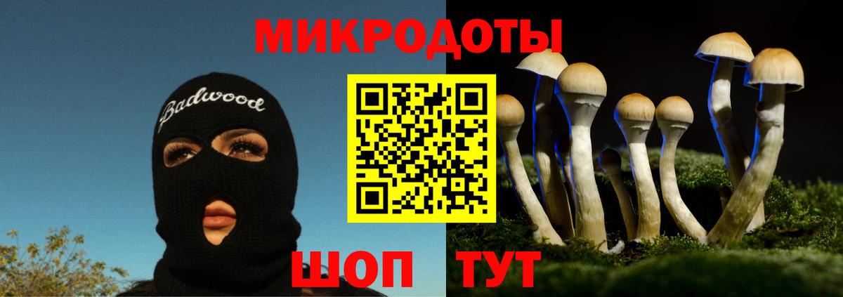 Псилоцибиновые грибы мухоморы Пенза